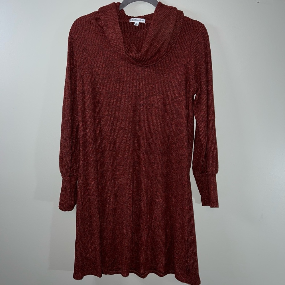 Turtle neck sweater dress